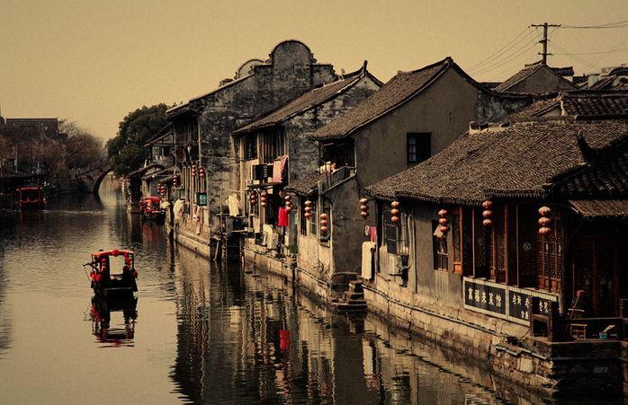 动物帮帮忙保卫家园
